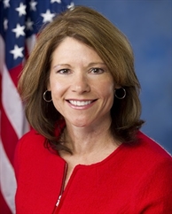 Hon. Cheri Bustos